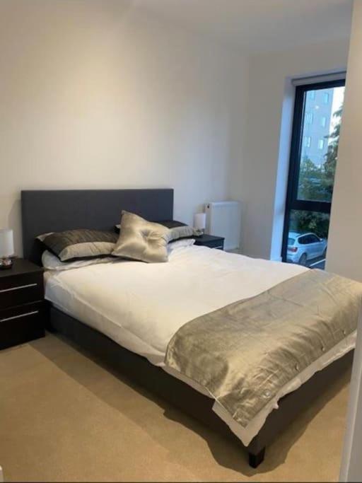 Brand New Luxury With Free Parking And Gym Apartment