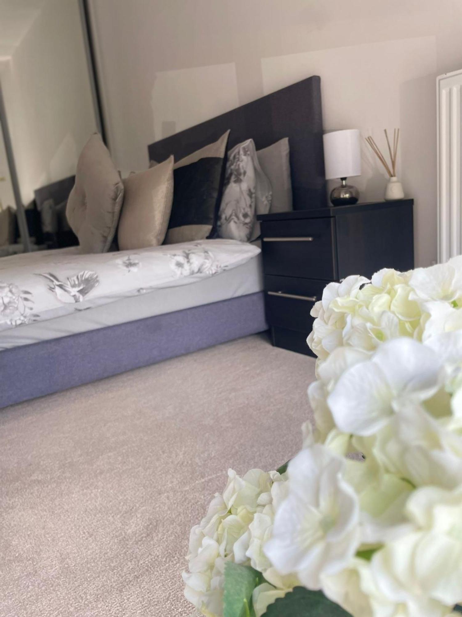 Brand New Luxury With Free Parking And Gym Apartment *